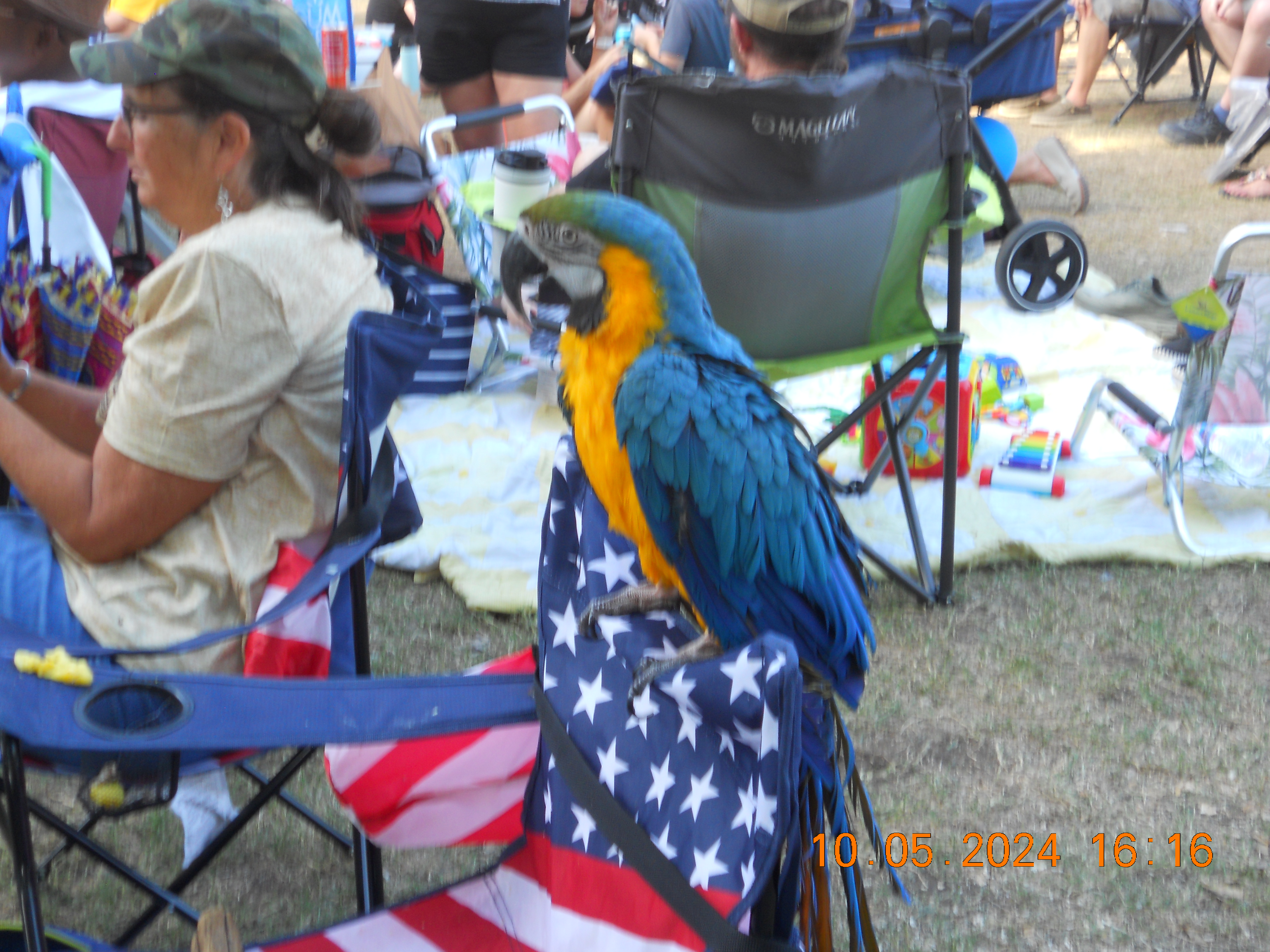 A fellow Denton Jazz Festival-goer 10/5/2024 on the NIKON COOLPIX S205