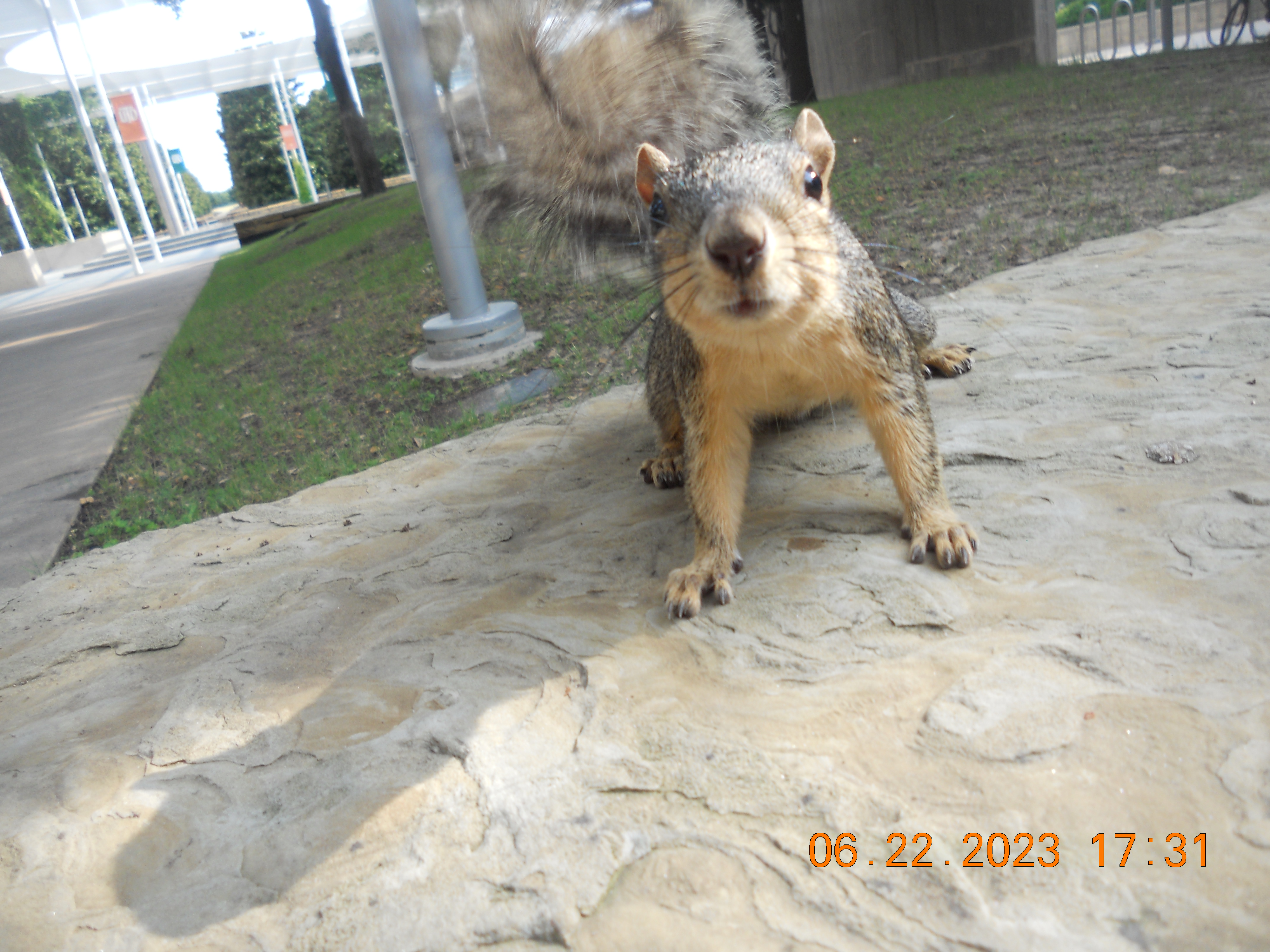 An especially friendly subject 6/22/2023 on the NIKON COOLPIX S205