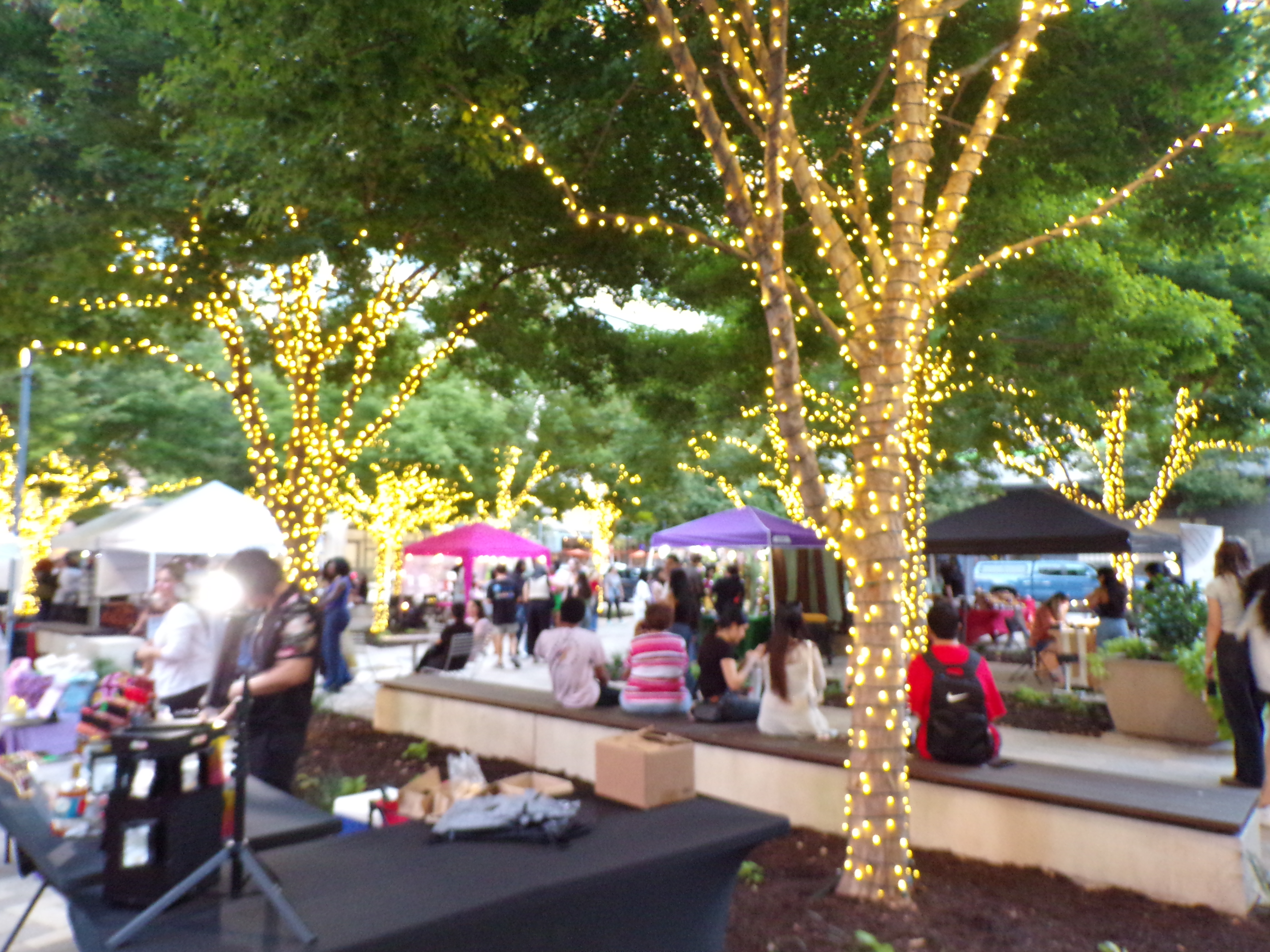 An artisan market in north Dallas 10/10/2025 on the PIXPRO AZ401