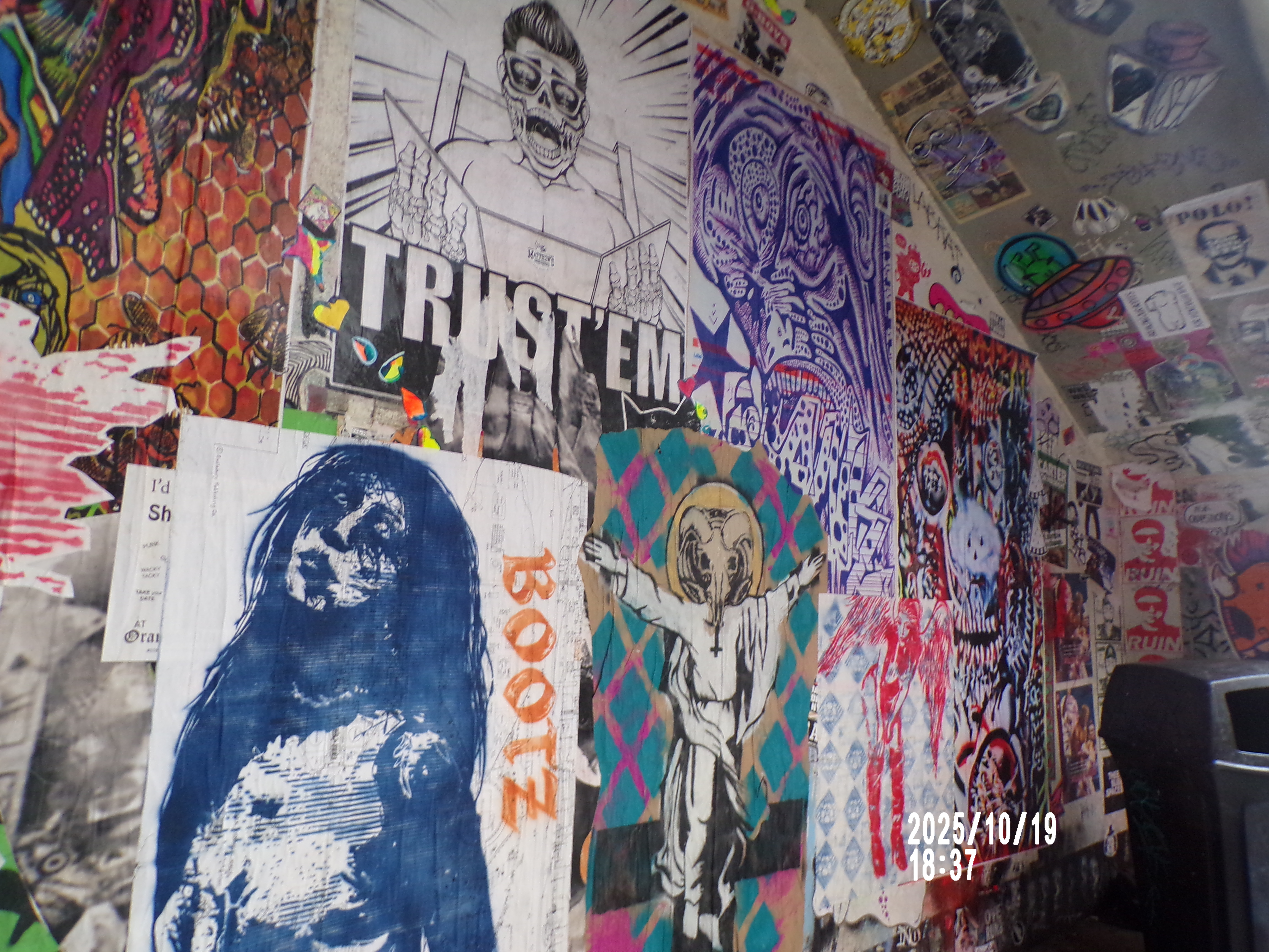 Posters in Seattle, WA 10/19/2025 on the PIXPRO AZ401